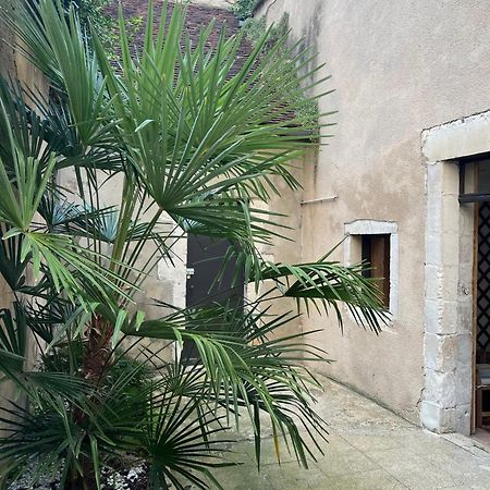 Cosy Appartement Hyper Centre Ville Avec Cour + Patio Auxerre Esterno foto
