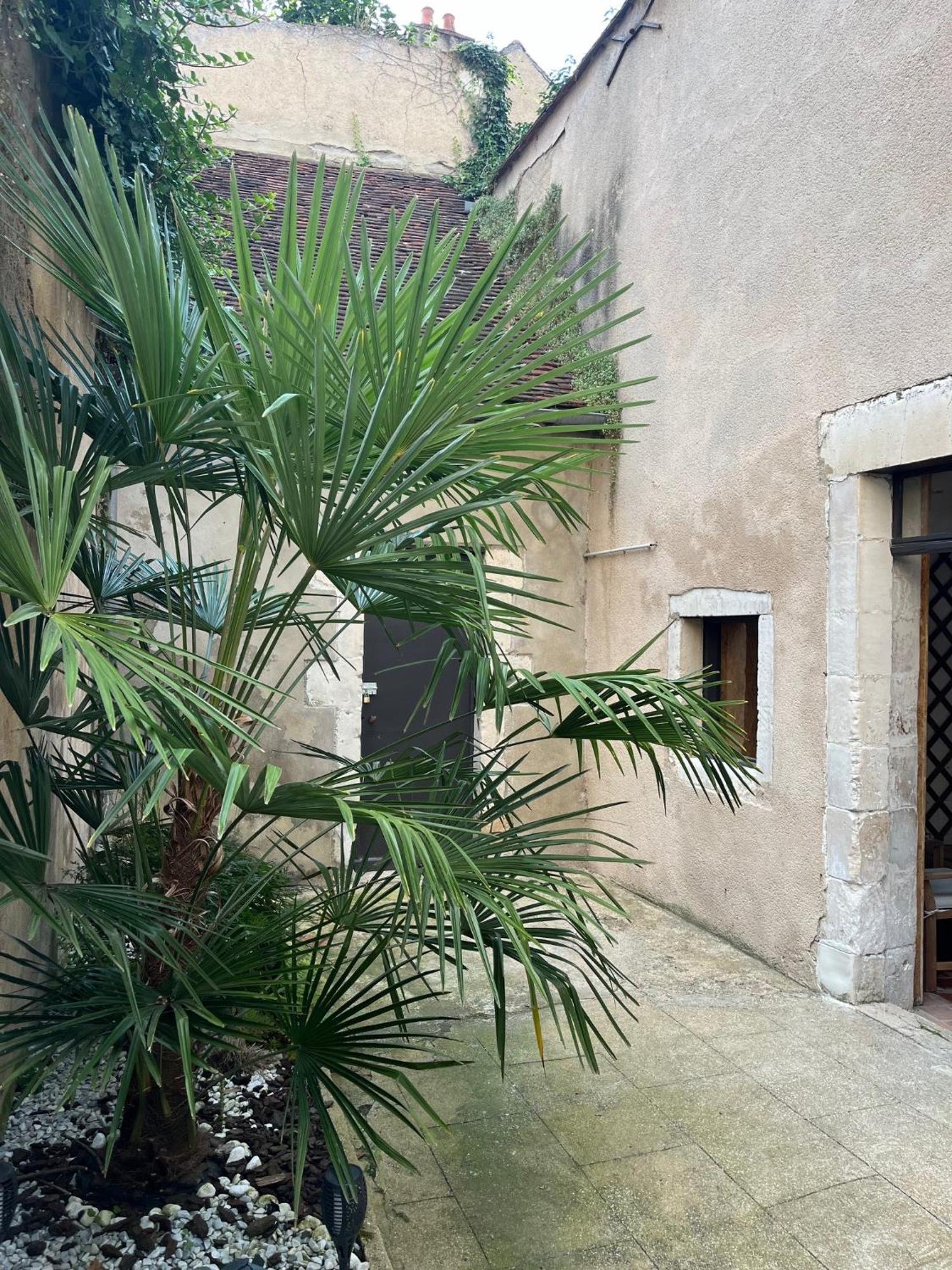 Cosy Appartement Hyper Centre Ville Avec Cour + Patio Auxerre Esterno foto